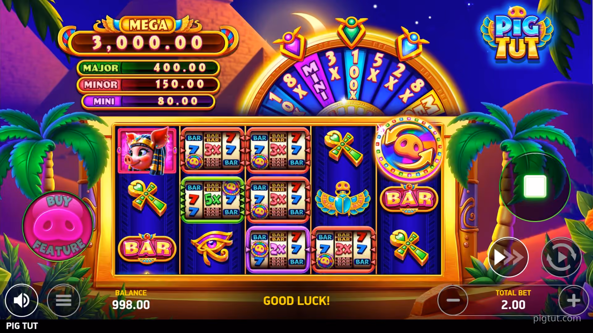Pig Tut big win